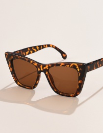 Fashion Bean Curd Large Frame Cat Eye Sunglasses